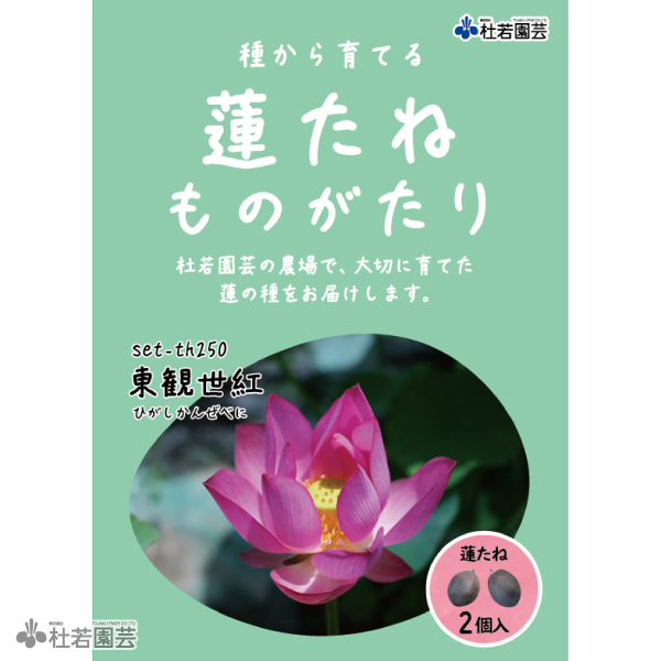 即発送 蓮ページ 5HccfDHvOLykm3m8.jpeg