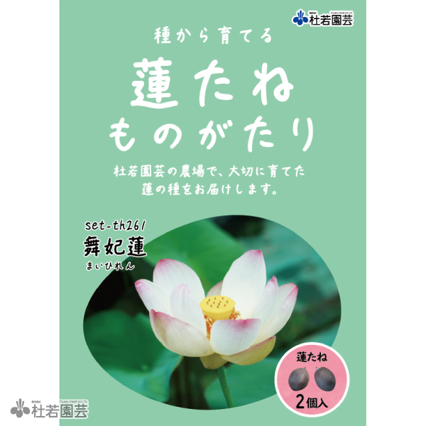 5袋までメール便対応】蓮たねものがたり-舞妃蓮（まいひれん）【小型種