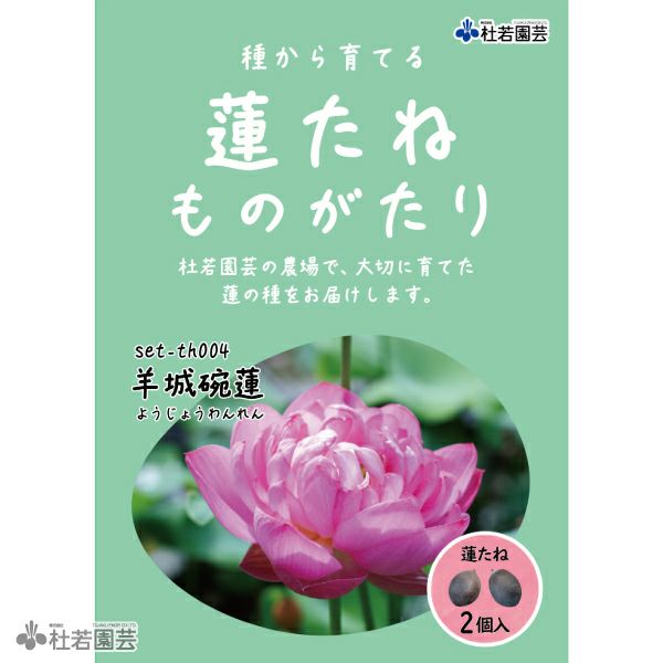 5袋までメール便対応】蓮たねものがたり-紫玉蓮(しぎょくれん)【小型種