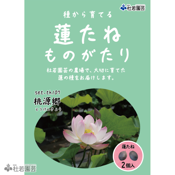 5袋までメール便対応】蓮たねものがたり-仏座蓮（ぶつざれん） | 杜若