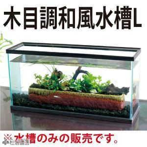 メダカにおすすめ 木目調和風水槽 ｌ 株式会社 杜若園芸 水草の生産販売 通販ショップ