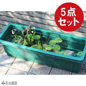 楽天市場】【ふるさと納税】せせらぎビオトープ 25cm型照明+木枠