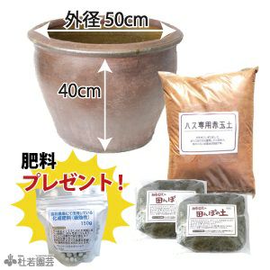 蓮麺10袋セット