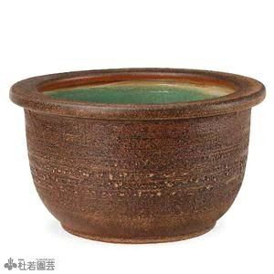 使いやすい お手軽陶器鉢 大 株式会社 杜若園芸 水草の生産販売 通販ショップ