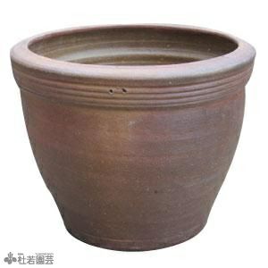 高級陶器鉢 大 | 杜若園芸WEBショップ｜水草の生産販売【通販