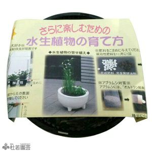 メダカビオトープにおすすめ 水生植物植え替えセット 丸型カゴ 硬質赤玉土入り 株式会社 杜若園芸 水草の生産販売 通販ショップ