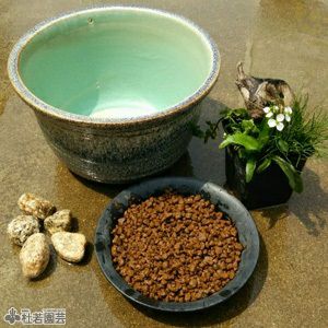 ビオトープのセット | 杜若園芸WEBショップ｜水草の生産販売