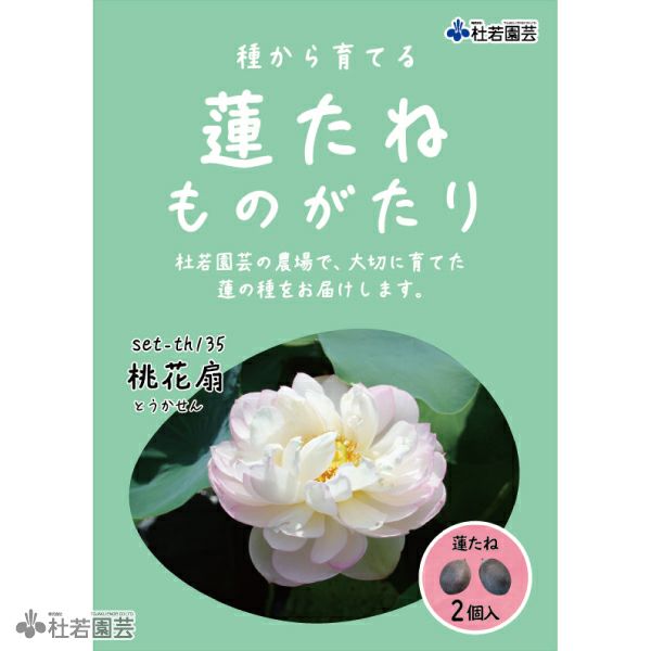 桃花扇(とうかせん)