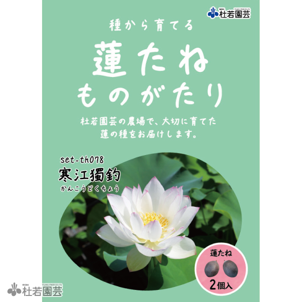 5袋までメール便対応】蓮たねものがたり-八一蓮(はちいちれん)B-18