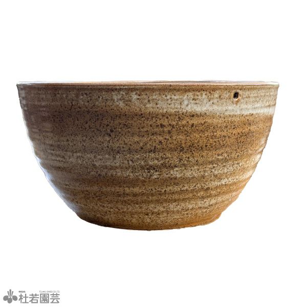 メダカにおすすめ！メダカ鉢】 水鉢(12号青釉ハケ目) | 杜若園芸