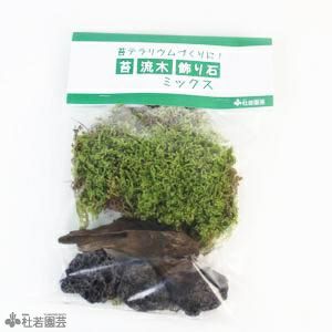 苔テラリウムの苔 流木 飾り石のセット 株式会社 杜若園芸 水草の生産販売 通販ショップ