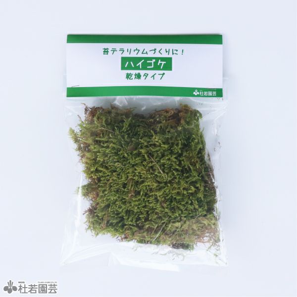 苔玉用ハイゴケ | 杜若園芸WEBショップ｜水草の生産販売【通販ショップ】