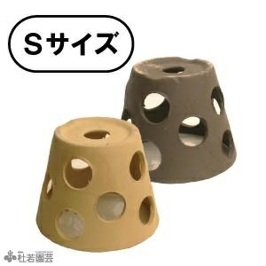 メダカドット隠れ家 Sサイズ 株式会社 杜若園芸 水草の生産販売 通販ショップ