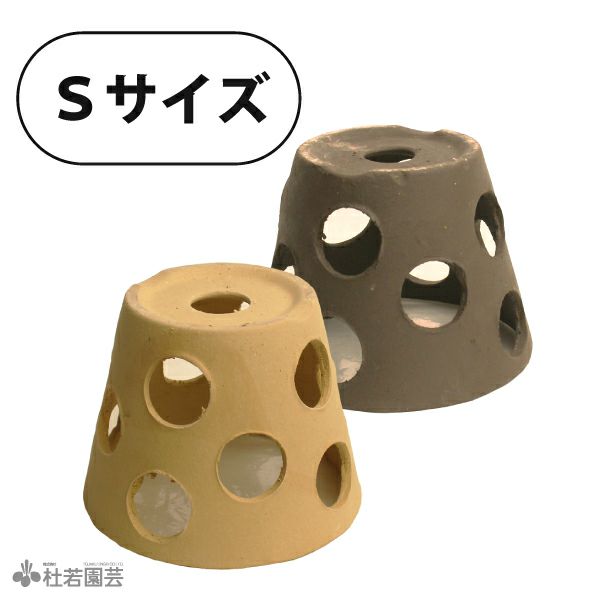 メダカの隠れ場所におすすめ メダカの隠れ家 株式会社 杜若園芸 水草の生産販売 通販ショップ