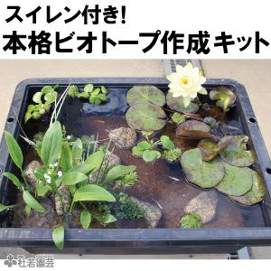 ビオトープのセット | 杜若園芸WEBショップ｜水草の生産販売【通販