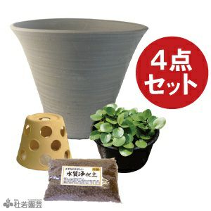 メダカの隠れ場所におすすめ メダカの隠れ家 株式会社 杜若園芸 水草の生産販売 通販ショップ