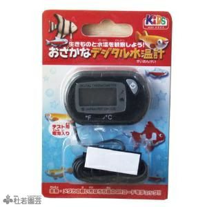 デジタル水温計 株式会社 杜若園芸 水草の生産販売 通販ショップ