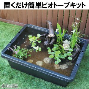 置くだけ簡単ビオトープキット 株式会社 杜若園芸 水草の生産販売 通販ショップ