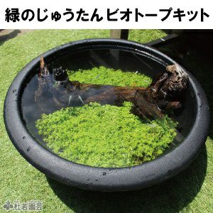 ビオトープのセット | 杜若園芸WEBショップ｜水草の生産販売【通販ショップ】