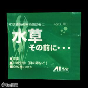 水草その前に メール便対応 株式会社 杜若園芸 水草の生産販売 通販ショップ