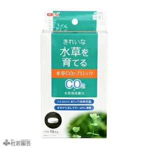 水草を育てる 水草co2ブロック メール便対応 株式会社 杜若園芸 水草の生産販売 通販ショップ