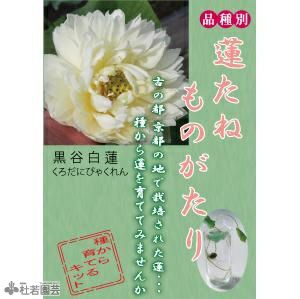 000000003207-01-m.jpg?t=