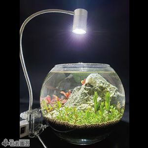 水草を育てるライト リーフグロー | 杜若園芸WEBショップ｜水草の生産