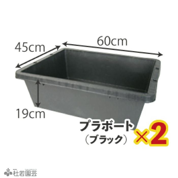 ビオトープ メダカ他飼育セット 20Lダブルタイプ 木枠カバー