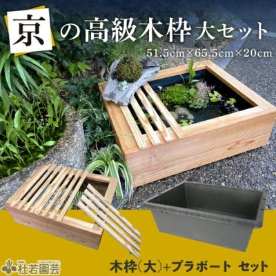 高級木枠とプラ舟のセット 株式会社 杜若園芸 水草の生産販売 通販ショップ