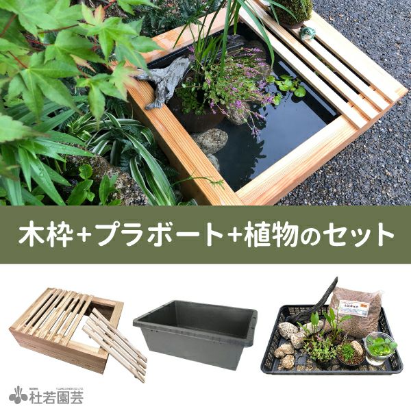 京の高級木枠つき　ビオトープコーディネートセット