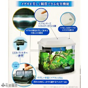 メダカ元気 やさしい水槽セット Gex 株式会社 杜若園芸 水草の生産販売 通販ショップ