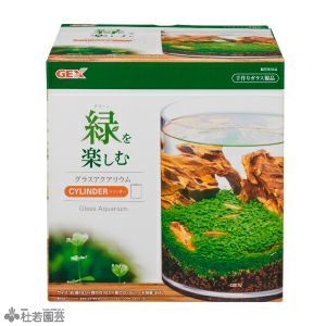 グラスベース メープル0 Gex ライト 別売 株式会社 杜若園芸 水草の生産販売 通販ショップ