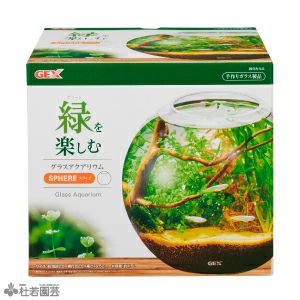 【専用】宮村(アクアリウム多数販売)様 グラスアクアリウム スフィア 【GEX】 | 杜若園芸WEBショップ