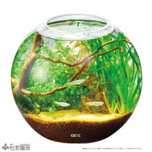 【専用】宮村(アクアリウム多数販売)様 グラスアクアリウム スフィア 【GEX】 | 杜若園芸WEBショップ