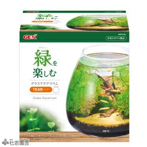 メダカ元気 やさしい水槽セット Gex 株式会社 杜若園芸 水草の生産販売 通販ショップ