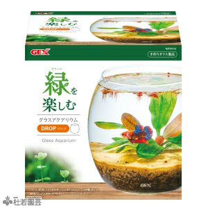 メダカ元気 やさしい水槽セット Gex 株式会社 杜若園芸 水草の生産販売 通販ショップ