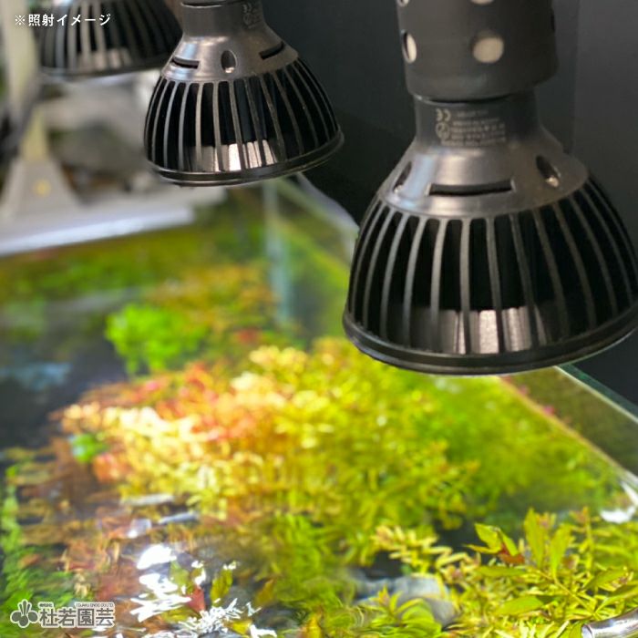 太陽光LED】AMATERAS LED-10W | 杜若園芸WEBショップ｜水草の生産販売 