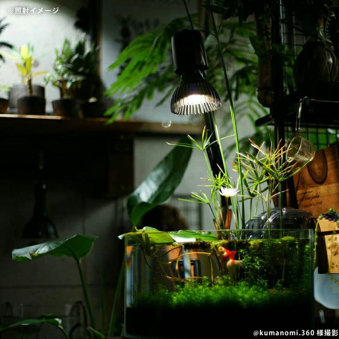 植物用LED ツクヨミ - ライト・照明器具