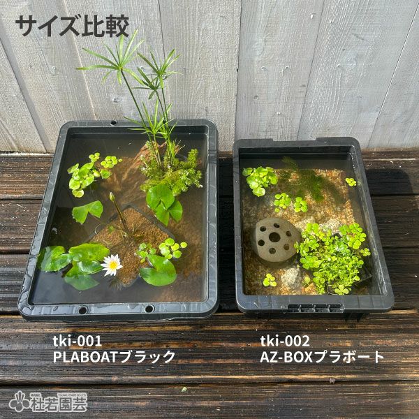 AZ-BOX プラボート プラ舟 | 杜若園芸WEBショップ｜水草の生産販売