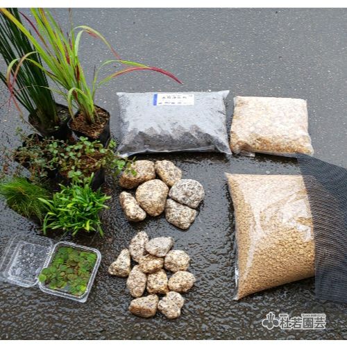 秋から楽しむ本格メダカビオトープキット | 杜若園芸WEBショップ｜水草