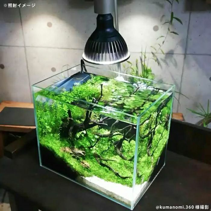 BARREL/AMATERAS LED 20W アマテラス 照明 水槽 観葉植物 - ペット用品