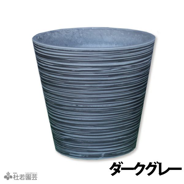HASUBACHI 40 | 杜若園芸WEBショップ｜水草の生産販売【通販