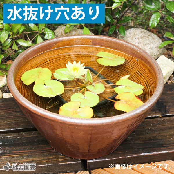 スイレン陶器鉢 ソリ型（L）