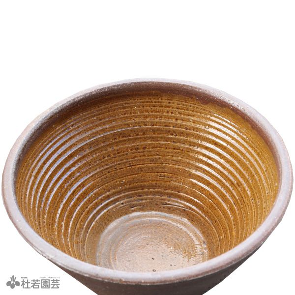 スイレン陶器鉢 ソリ型（L） | 杜若園芸WEBショップ｜水草の生産販売