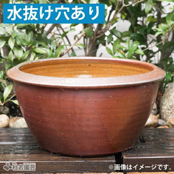 メダカビオトープ鉢（L） | 杜若園芸WEBショップ｜水草の生産販売