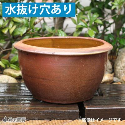 穴なしスイレン陶器鉢 丸型（M） | 杜若園芸WEBショップ｜水草の生産 