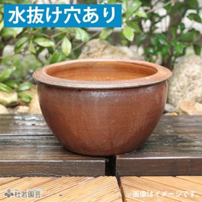 水鉢 陶器 プラ 睡蓮鉢 メダカ鉢 蓮鉢 通販 販売 株式会社 杜若園芸 水草の生産販売 通販ショップ