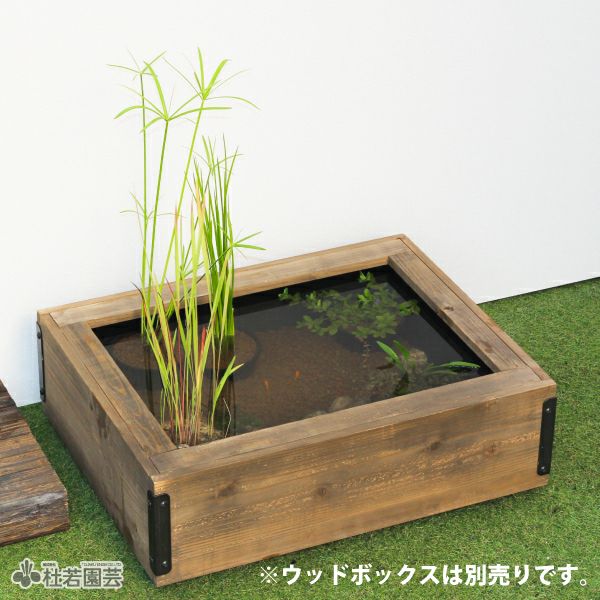 秋の衣替え メダカのDXビオトープセット | 杜若園芸WEBショップ