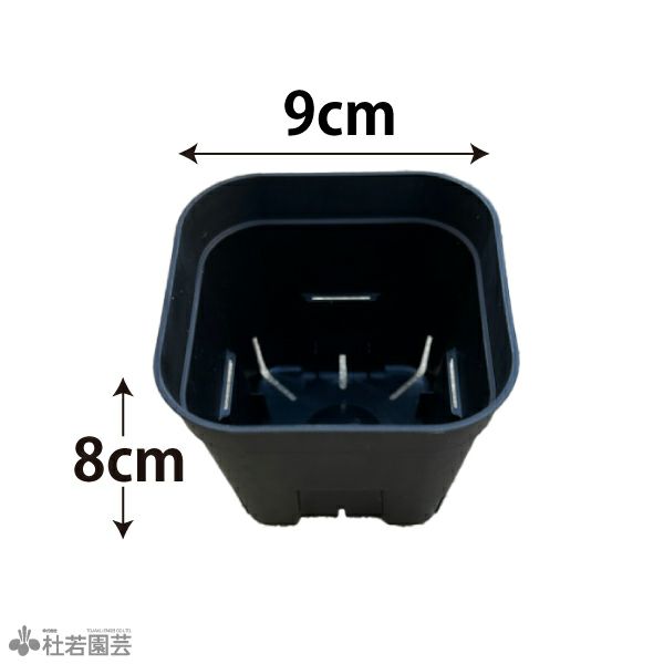 AZ-BOX プラボート プラ舟 | 杜若園芸WEBショップ｜水草の生産販売