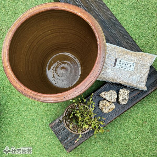 数量限定！冬メダカ用絶好の住み家づくりセット | 杜若園芸WEBショップ
